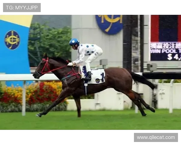 小胡安闪耀那不勒斯：与别科马并肩马并肩铸就辉煌岁月